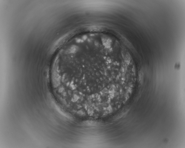 X0000113060733200909182000