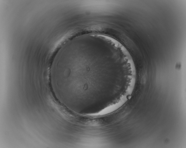 X0000113060735200909182000