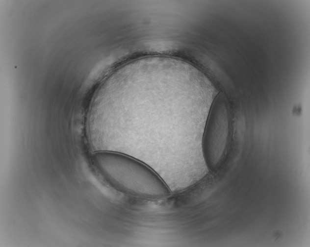 X0000113060736200909182000