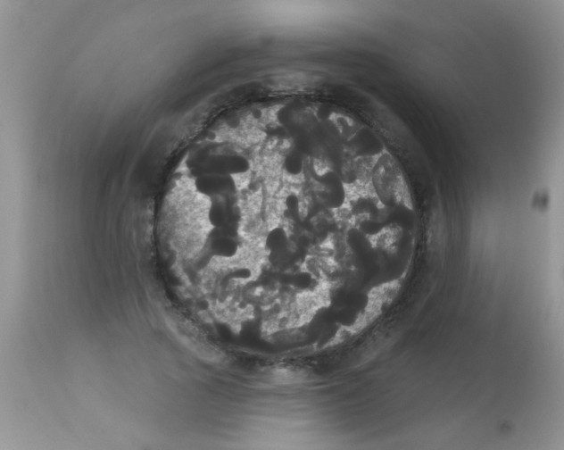 X0000113060737200909182000