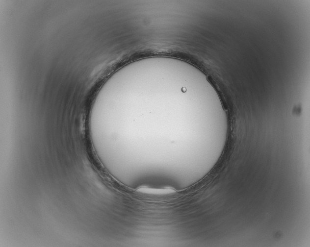 X0000113060740200909182000