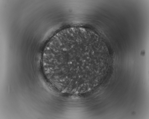 X0000113060742200909182000