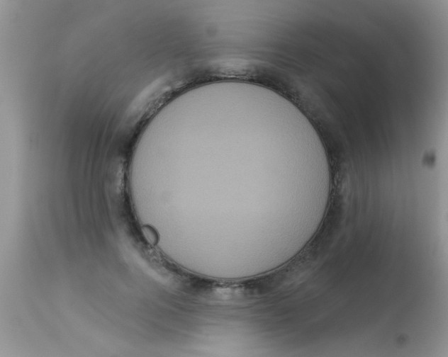 X0000113060744200909182000