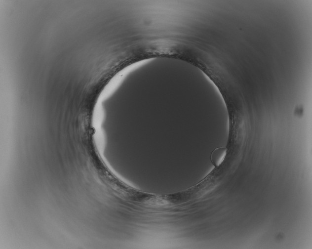 X0000113060747200909182000