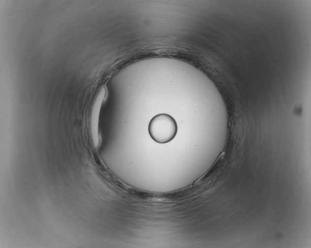 X0000113060748200909182000