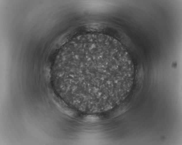 X0000113060749200909182000