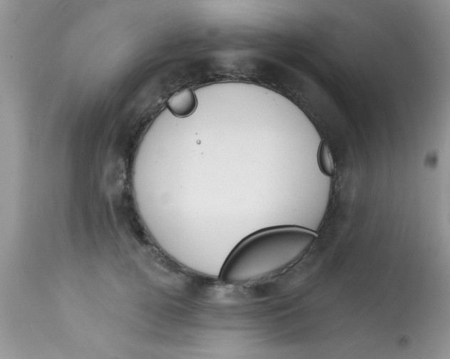 X0000113060752200909182000