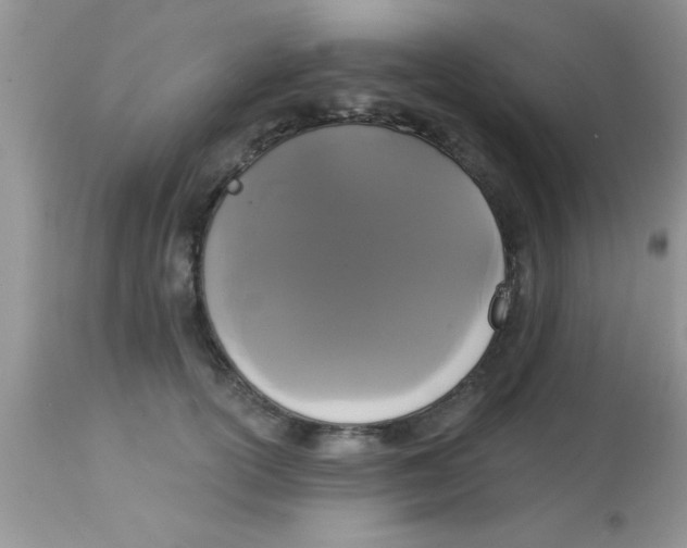 X0000113060754200909182001