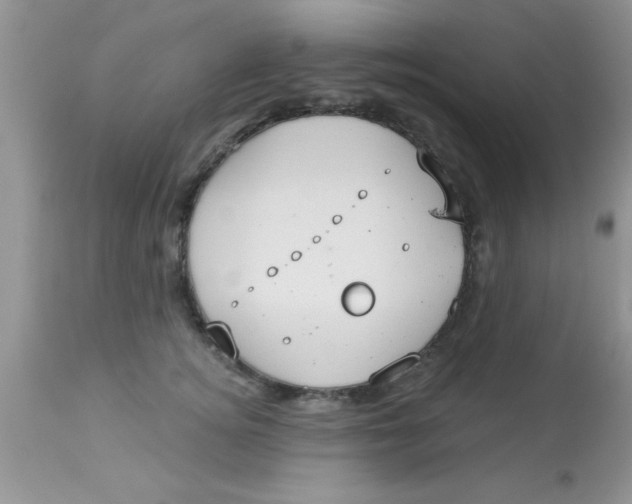 X0000113060756200909182001