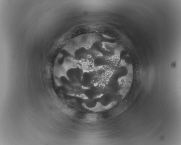 X0000113060757200909182001