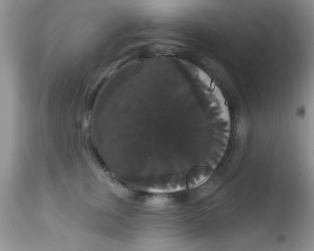 X0000113060759200909182001