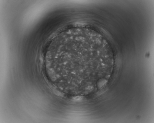 X0000113060761200909182001