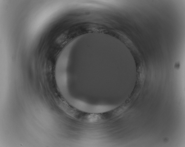 X0000113060762200909182001