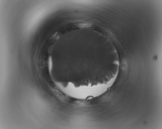 X0000113060763200909182001