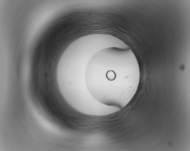 X0000113060764200909182001