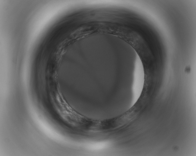 X0000113060765200909182001
