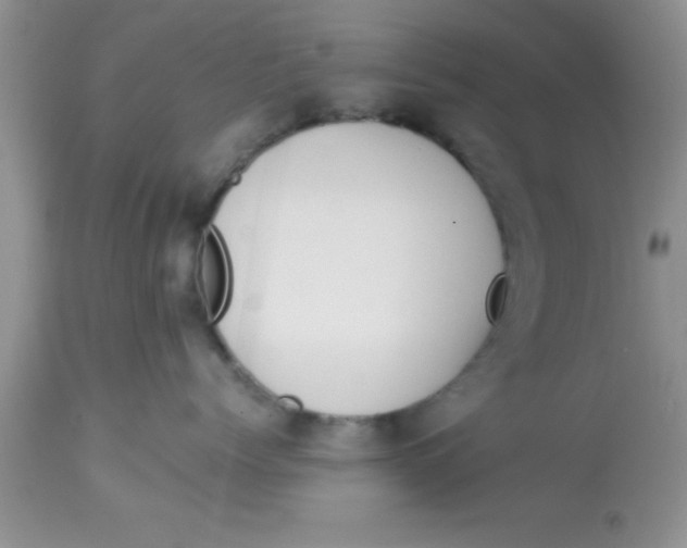 X0000113060768200909182001
