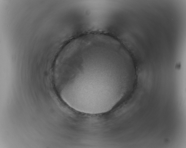 X0000113060769200909182000