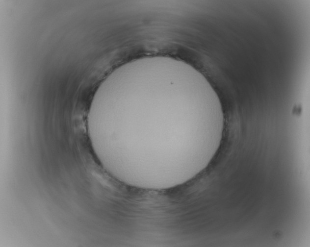 X0000113060770200909182000