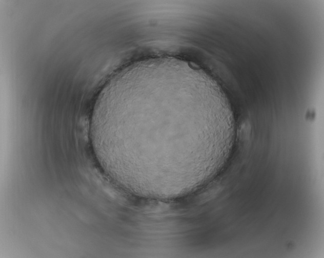 X0000113060772200909182000