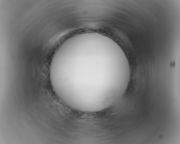 X0000113060773200909182000