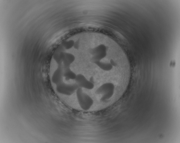 X0000113060774200909182000