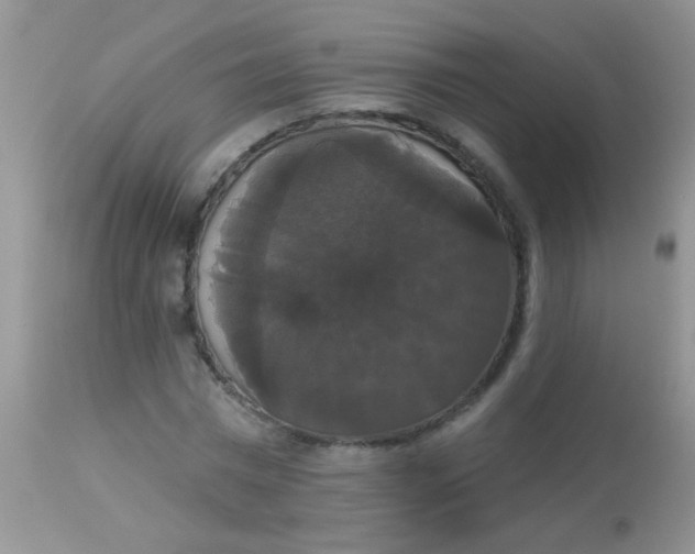 X0000113060777200909182000