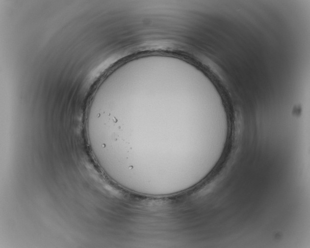 X0000113060778200909182000