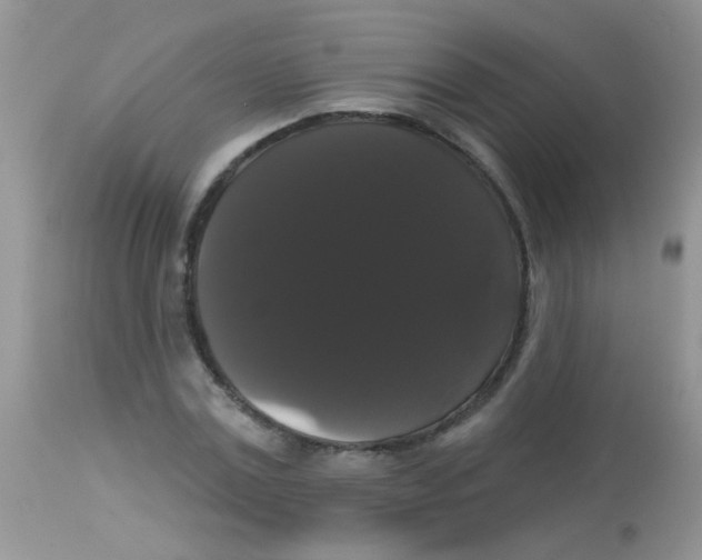 X0000113060779200909182000