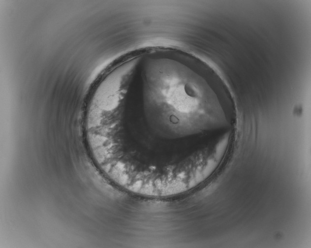 X0000113060783200909182000
