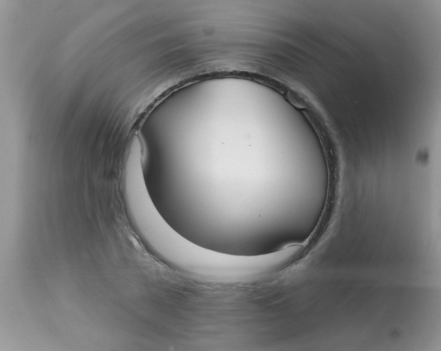 X0000113060785200909182000