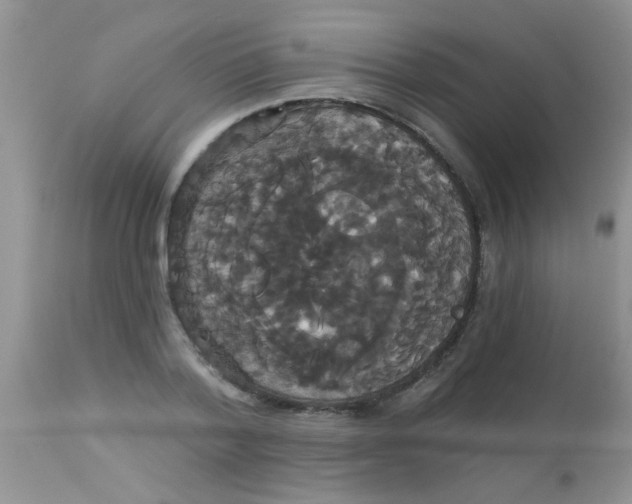 X0000113060788200909182000