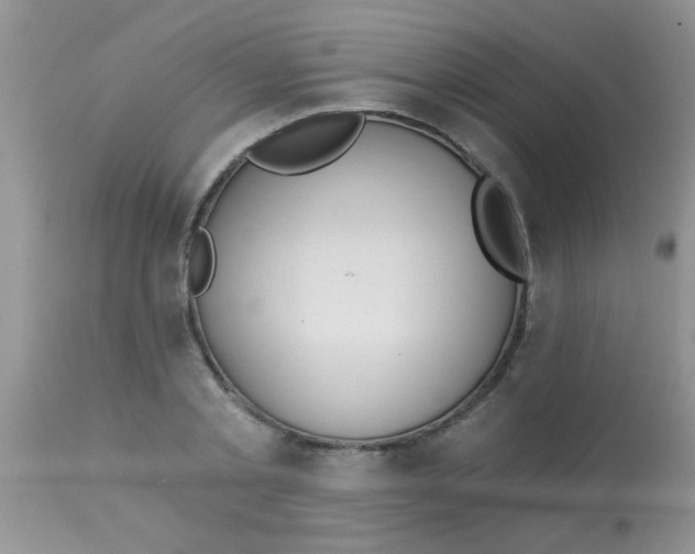 X0000113060789200909182000