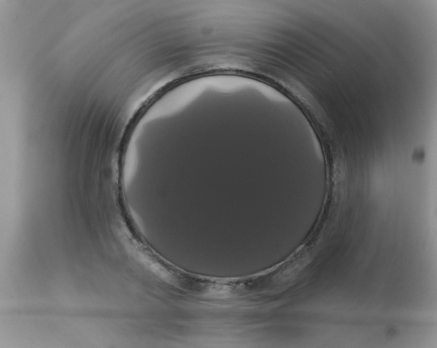 X0000113060790200909182000
