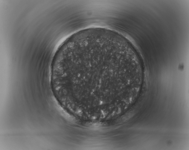 X0000113060791200909182000