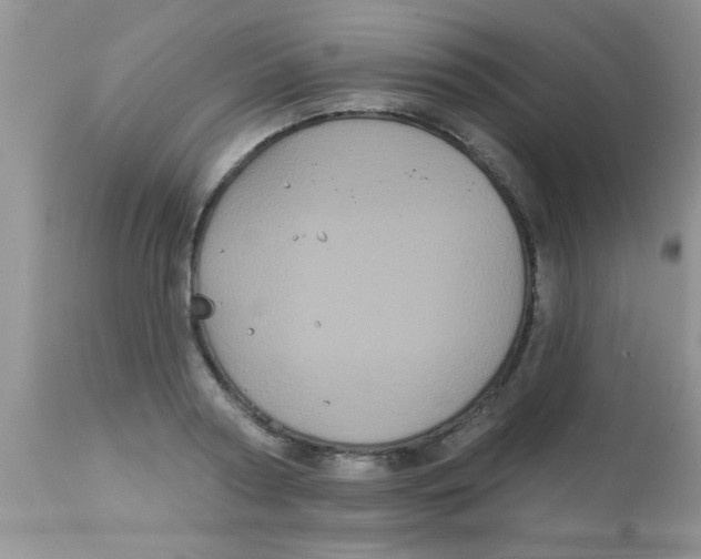 X0000113060794200909182000