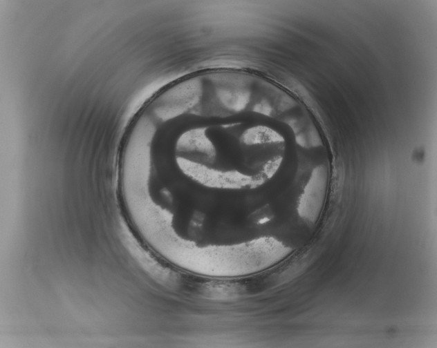 X0000113060795200909182000