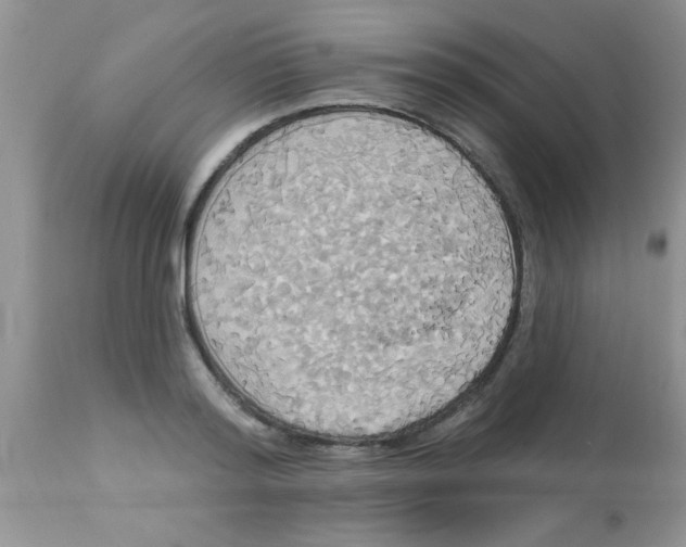 X0000113060796200909182000