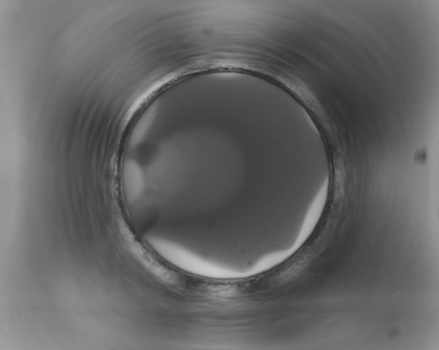 X0000113060798200909182000