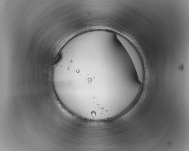 X0000113060801200909182000
