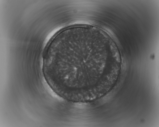 X0000113060804200909181959