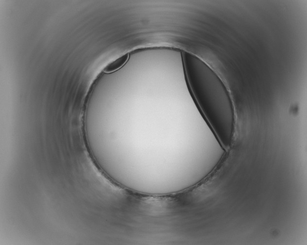 X0000113060805200909181959