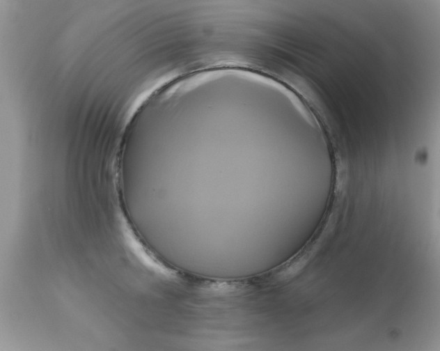 X0000113060806200909181959
