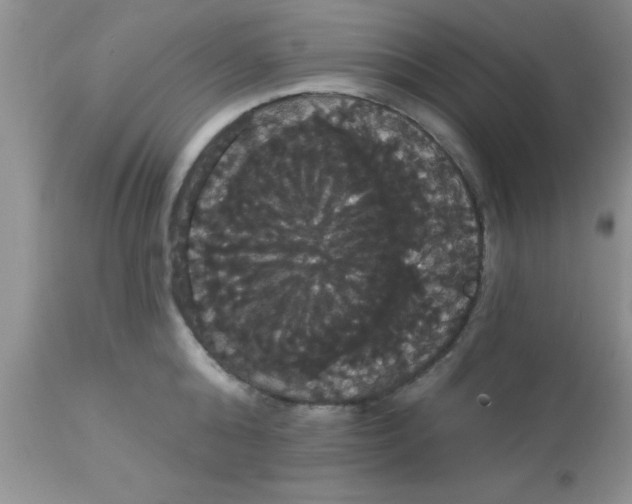 X0000113060808200909181959