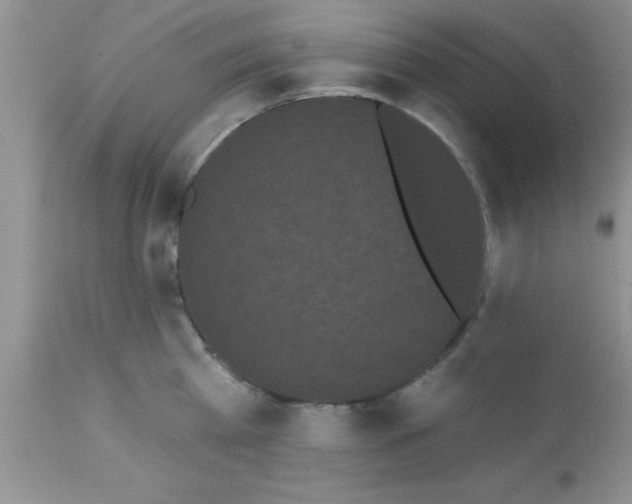X0000113060809200909181959