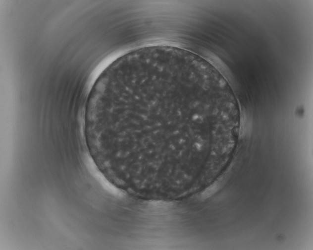 X0000113060812200909181959