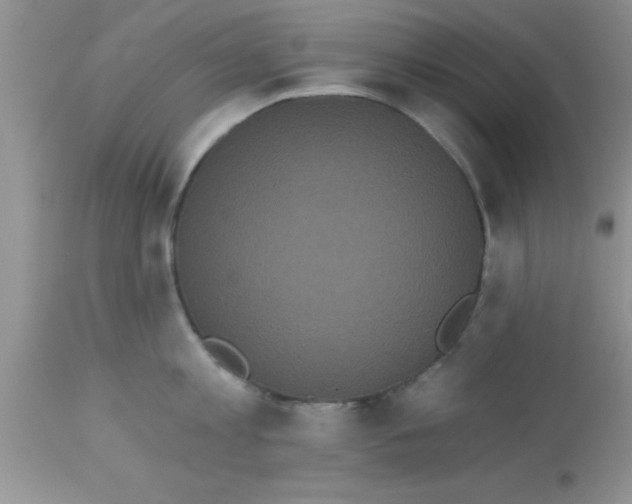 X0000113060813200909181959