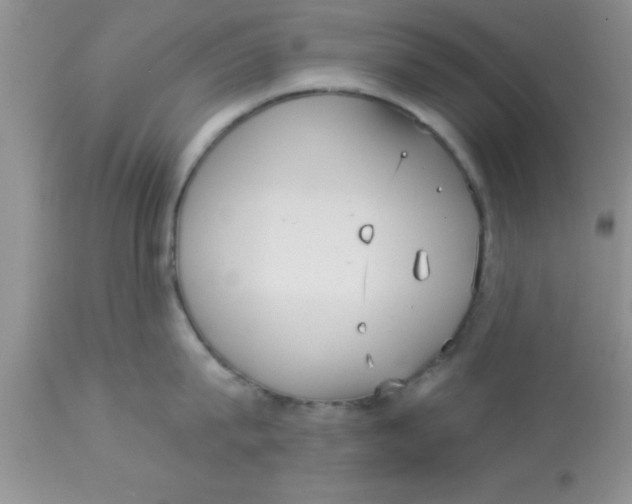 X0000113060815200909181959