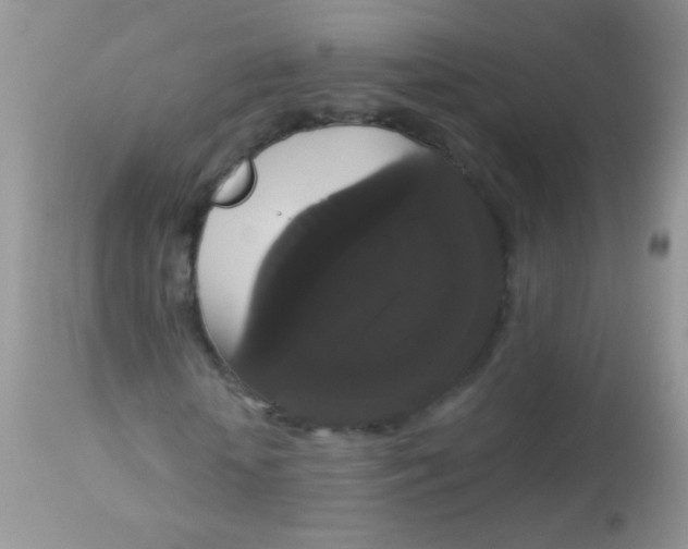 X0000113060818200909181958