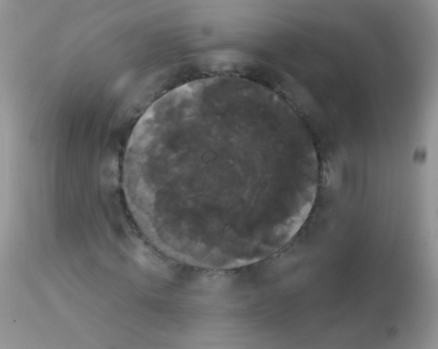 X0000113060820200909181959